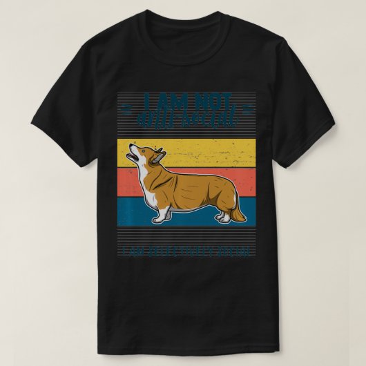 Gallois Corgi Pullover Cadeau Femmes Hommes Capsul (Design devant)