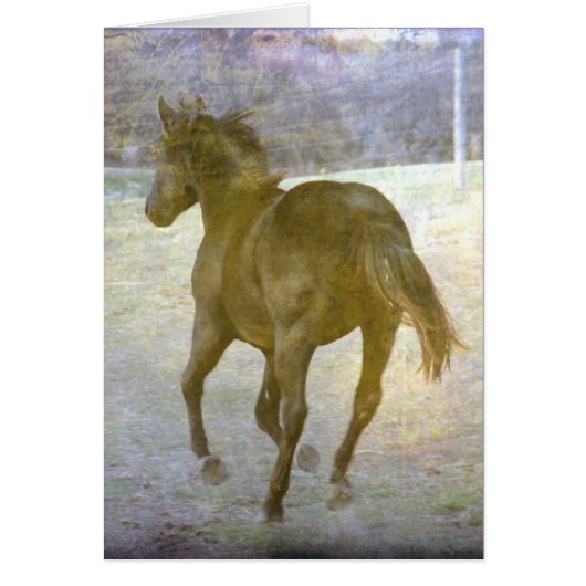 Gallop Away (Devant)
