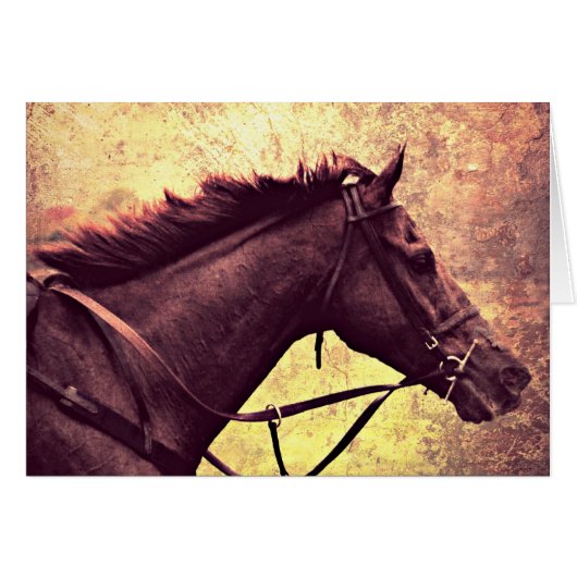 Gallop Grunge (Voorkant Horizontaal)