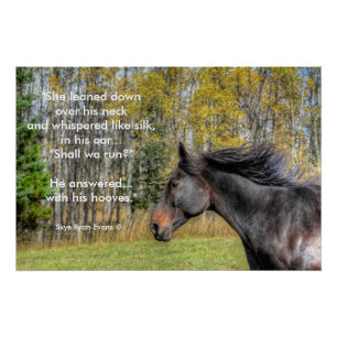 Galloping Black Horse and Horse lovers Equine Poem Perfect Poster