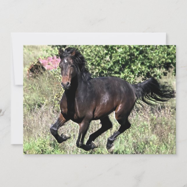 Galloping Chestnut Horse (Voorkant)