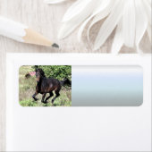 Galloping Chestnut Horse Etiket (Insitu)