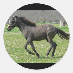 Galloping Colt-Sticker Ronde Sticker