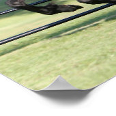 Galloping Friesian Beauty Poster (Hoek)