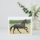Galloping Friesian Briefkaart (Staand voorkant)