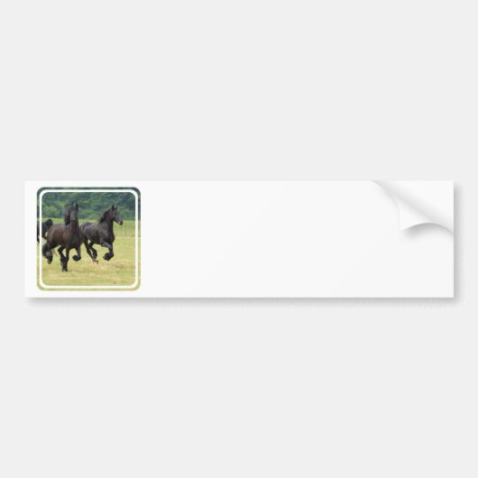 Galloping Friesian Horses Bumpersticker (Voorkant)
