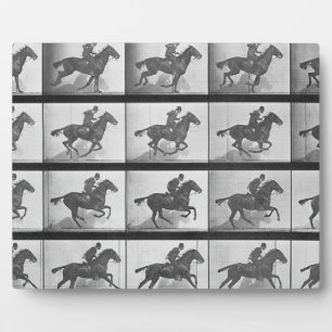 Galloping Horse, bord 628 uit 'Animal Locomotion' Fotoplaat