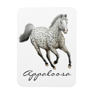 Galloping Leopard Appaloosa Horse Premium Magnet Magneet