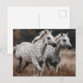 Galloping Leopard Appaloosa paarden Briefkaart (Voorkant / Achterkant)