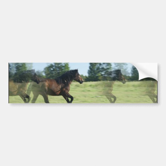 Galloping Mustangs Bumpersticker (Voorkant)