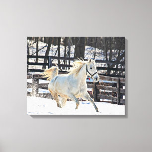 Galloping White Horse Canvas Afdruk