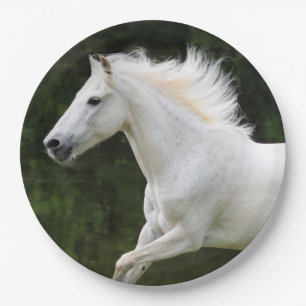 Galloping White Horse Papieren Bordje