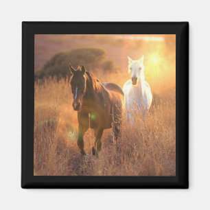 Galloping Wild Horses Square Magnet Magneet