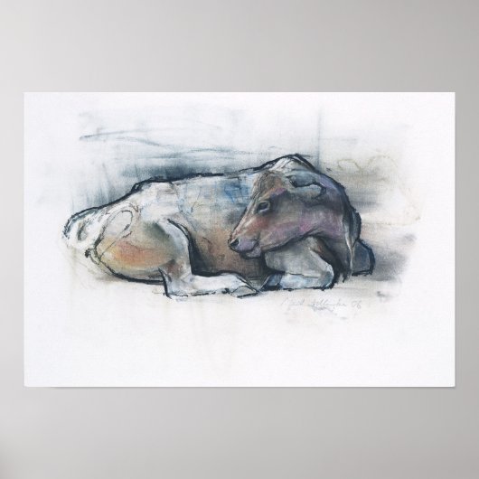 Galloway 2006 poster (Voorkant)