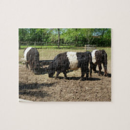 Galloway Cattle Puzzle Legpuzzel