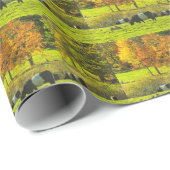 Galloway Cows op Rockport Maine Boerderij Cadeaupapier (Rol Hoek)