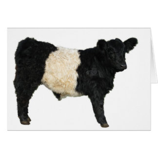 Galloway Steer Cutout