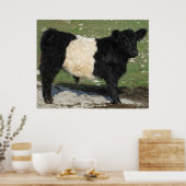 Galloway Steer Cutout Beltie Boerderij Poster (Keuken)