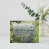 Gallup Park in de haven van Ann Briefkaart (Staand voorkant)