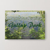 Gallup Park in de haven van Ann Button (Voorkant)