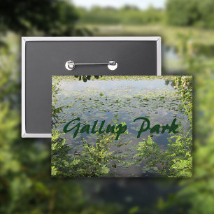 Gallup Park in de haven van Ann Button