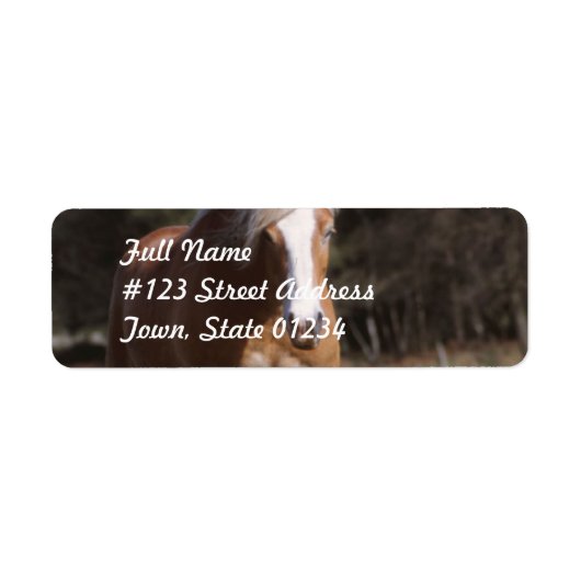 Galoping Palomino-mailetiketten Etiket (Voorkant)