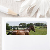 Galoping volbloed mailing labels (Insitu)