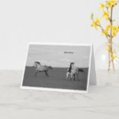 Galopperende paarden in het Wenskaart Pasture Kaart (Gele Bloem)