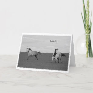 Galopperende paarden in het Wenskaart Pasture Kaart
