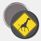 Galopping Giraffes Xing! Magneet (Voorkant / Achterkant)