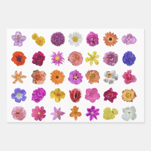 GALORE FLEURS ! Papier cadeau (Devant 3)