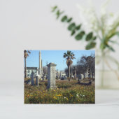 Galveston Graveyard Briefkaart (Staand voorkant)