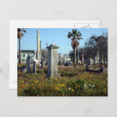 Galveston Graveyard Briefkaart (Voorkant / Achterkant)