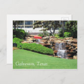 Galveston, Texas Briefkaart (Voorkant / Achterkant)