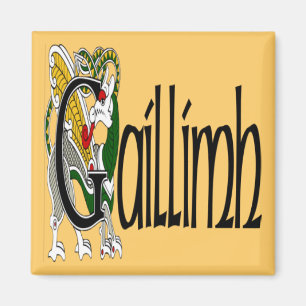 Galway (Gaelic) Magnet Magneet