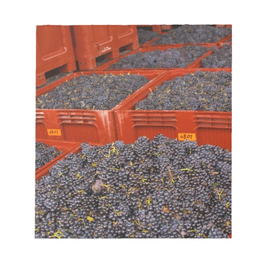 Gamay druiven net in de oogst bij notitieblok (Voorkant)