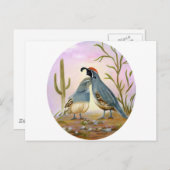 Gambel Quails Briefkaart (Voorkant / Achterkant)