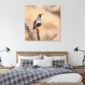 Gambels Quail Canvas Afdruk (Insitu (Slaapkamer))