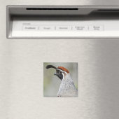 Gambel's Quail Magnet (In Situ (Lave-vaisselle))