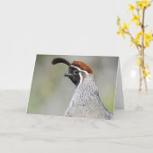 Gambels Quail Notecard Kaart (Gele Bloem)