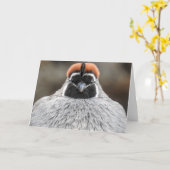 Gambels Quail Notecard Kaart (Gele Bloem)