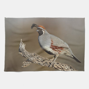 Gambels Quail Theedoek