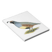 Gambels woestijnkwartel notitieblok (Schuin)