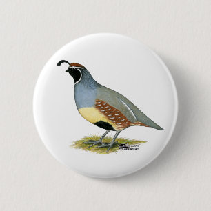 Gambels woestijnkwartel ronde button 5,7 cm