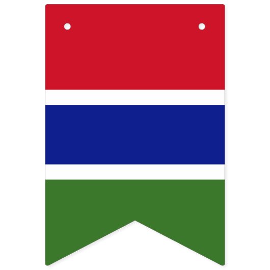 Gambiaanse vlag vlaggetjes (Tweede vlag)