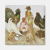 Game Birds Magneet (Voorkant)