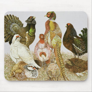 Game Birds Muismat