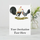 Game Fowl Pair Kaart (Staand voorkant)