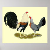 Game Fowl Pair Poster (Voorkant)