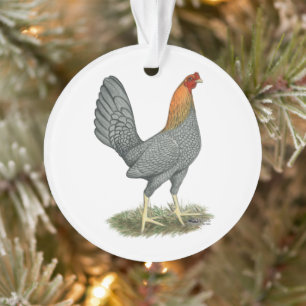 Game Hen Blauw Rood Ornament